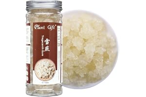 PlantGift Wild Edible Gum,Tragacanth Gum 雪燕 Snow Swallow xueyan No Colors, NON-GMO Snö Svälja Xueyan Inga färger, Non-GMO 150G 5.29oz