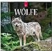 Wölfe 2015 - Original Stürtz-Kalender - Mittelformat-Kalender 33 x 31 cm by 
