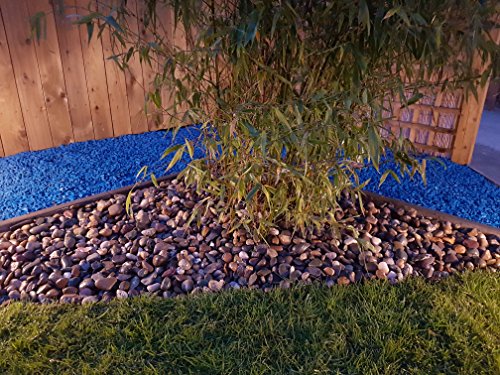 rockinnature Irische Strandkieselsteine 20 kg, Garten-Deko - 3