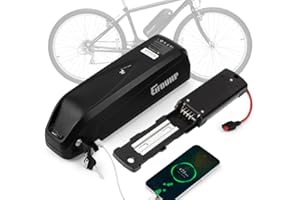 EIFDUHP Batería Ebike 36V 15AH, Batería Bicicleta Electrica Litio para Motor 750W 500W 350W 250W, con Puerto USB, Cargador, Placa Base 4 Pin y Célula Grado A