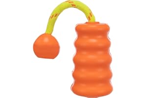 Dog Activity Mot-Fun, schwimmt, 9 cm/22 cm