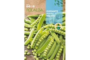 ROCALBA Semilla Guisante Prince Albert medio enrame