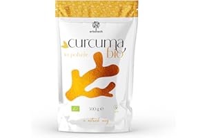 ERBOTECH Curcuma BIO in Polvere, Busta da 500 g, 100% Pura e Biologica, Senza Aggiunta di Sostanze Allergeniche, Senza OGM, Vegan & Senza Glutine