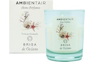 SEVENREEDS, Ambientair Home Perfume. Vela aromática Brisa marina, ambientador de oceáno, Vela aromática para casa, Aromaterapia, Vela en vaso de cristal para interiores. Duración 30 horas