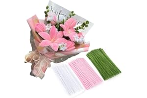 CCUUHJ 300 PCS Thick Pipe Cleaners Craft Supplies Yellow,Green,Brown Color Sunflower Chenille Stems for Art and Craft Projects Creative DIY Decorations (Pink Lily Color)