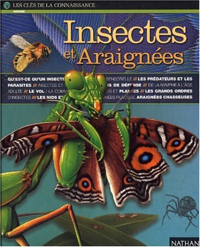 couverture de : Insectes et araign&eacute;es