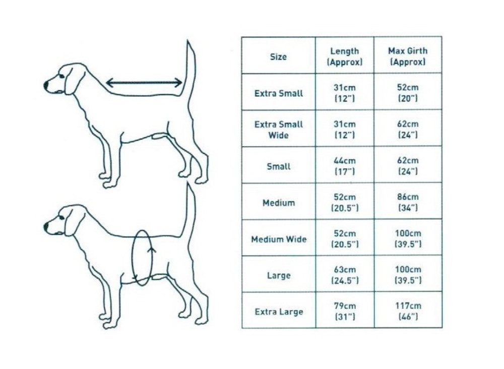 Easidri Dog Cooling Coat Extra Large Dogs.co.uk