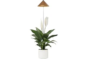 Parus by Venso SUNLiTE Plant lamp 7W cobre, lámpara de crecimiento LED con varilla telescópica, luz de crecimiento para plantas de interior y plantas verdes
