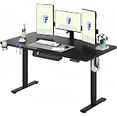 FLEXISPOT Standing Sitting Desk 160 x 60 cm Electric Height Adjustable Desk with Memory Function Control Panel for Home Offic