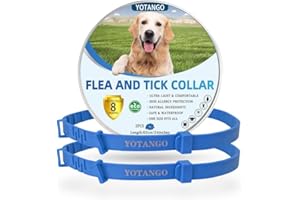 YOTANGO Colliers Anti-Puces pour Chiens, Collier Anti Puces Chien, Collier Anti Puces pour Chien Réglable-8 Mois de Protection Naturelle Contre Les Puces pour Chiots et Grands Chiens Bleu 2 Pièces.