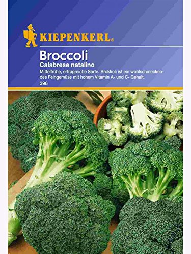 Brokkoli Calabrese natalino