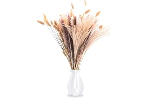 FORMIZON Hierba de Pampas, 35 Piezas Pampas Secas, Phragmites Ramo Flores para Jarrones, Pampa Decoración Bohemias para Decoracion de Bodas