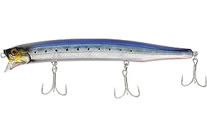 Tackle House Feed Shallow 155 16 Sardine Red Belly AHG