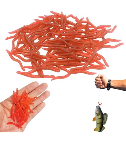 catla fishing hook bait ABS Fishing Bite Fish Bait for Rohu, Catla and Carp, 3kg Pack : Amazon.in:  Sports, Fitness & Outdoors