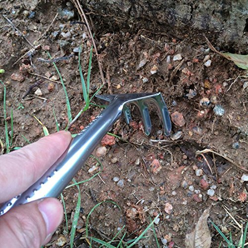 bluesnail 3 Pack Mini Garden, kleine Schaufel Rechen Spaten Metall Garten Werkzeug für Pflanzen Getopfte Blumen - 8