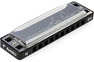Lee Oskar 797037 Natural Minor Harmonica, E