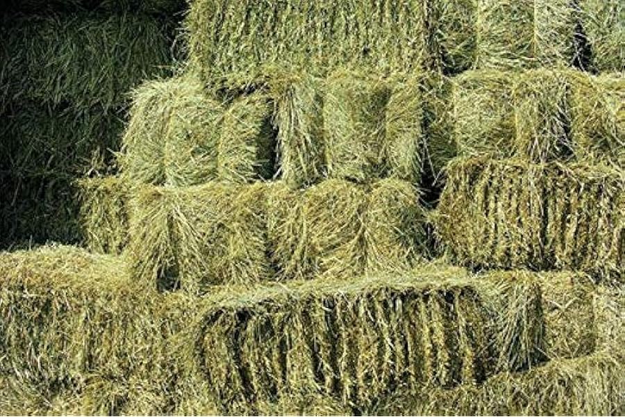 Shorefields Fresh Meadow Hay - Animal Feeding Hay Bale for Rabbits, Guinea Pig, Horses, Hamsters, Ponies - Nutritious Grasses & Wildflowers Blend
