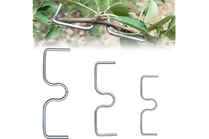 Coffee Life Plus® 30PCS estrattore di Rami di Un Albero,Supporto estrattore per Rami da frutto,per Arti Bonsai Strumento di modellazione estrattore di Rami Supporto per Alberi da Giardino Rami