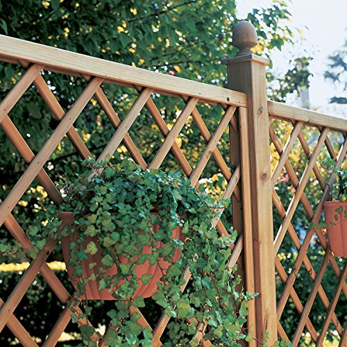 Rankgitter aus Holz Autoklav 1200 x 1800 Trikot 120 mm - 7