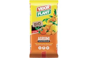 VIGORPLANT TERRICCIO PER AGRUMI 20