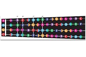 QMG Tabella note per violoncello/viola codificata a colori, per imparare a suonare violoncello/viola e teoria musicale, adatta a tutti i livelli