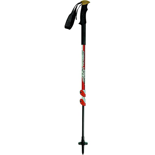 gipron ski pole