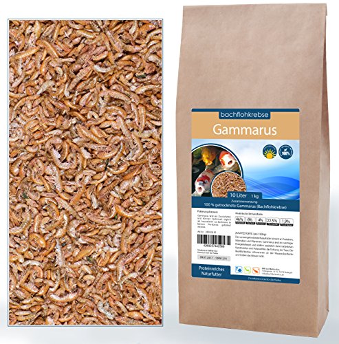 Gammarus, Bachflohkrebse, Koifutter, Reptilienfutter - 10 Liter