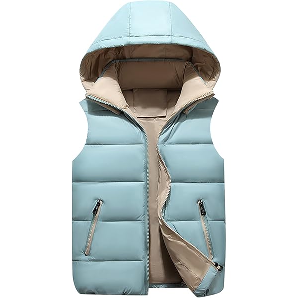 Veste Sans Manche Fille Company DD Shell Padded Down Vest