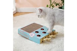 TITA-DONG Giocattoli per L'arricchimento del Gatto per Gatti da Interni, Whack a Mole Game Cat Puzzle Toy, Safe Fun Box Paws Scratcher, Interactive Box Catch Mouse Game Cat Puzzle Toy per Tutte le Età(Blu)