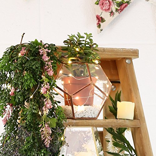 Vase Mini Gewächshaus Terrarium aus Glas und Metall Farbe Kupfer 15,8 cm von Festive Lights - 5