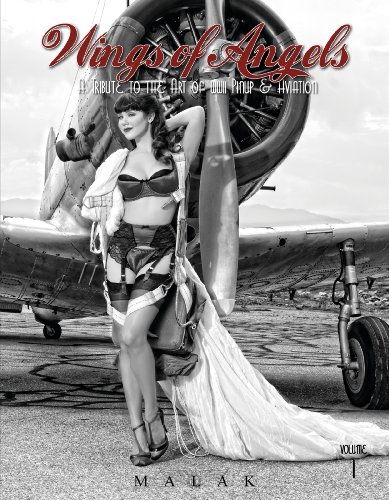 Wings of Angels: A Tribute to the Art of World War II Pinup & Aviation livre