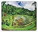 Produktbild Drempad Gaming Mauspads, Balinese Mouse Pad, Bali Rice Terrace Traditional Plantation Rural Area Nature Palm Trees Flower, Standard Size Rectangle Non-Slip Rubber Mousepad, Green Blue White