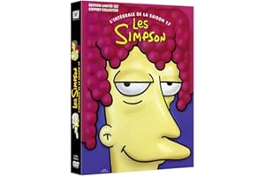 Les Simpson-L'intégrale de la Saison 17 [Coffret Collector-Édition limitée]