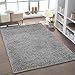 Produktbild Shaggy Teppich Hochflor Langflor Teppiche fürs Wohnzimmer und Schlafzimmer Ökotex 100 zertifiziert (040x060 cm, silber grau)