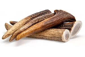 Dilecti Asta de Ciervo para Perros - Asta de Ciervo para Perros Elaborada con Asta de Ciervo Roja Natural y Cuidadosamente Seleccionada, Rica en Proteínas y Minerales. - Enteras XS (Paquete de 5)