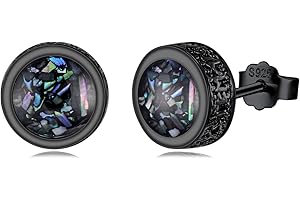 PARYFO Black Stud Earrings 925 Sterling Silver Viking Stud Earrings Celtic Rune Abalone Shell / Turquoise / Onyx / Lapis Lazuli Stud Earrings Black Stud Earrings for Men Women Unisex