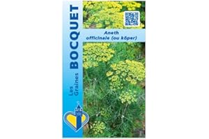 Sachet de graines de Aneth officinal "Koper" - 2 g - légume feuille - LES GRAINES BOCQUET