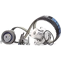 Acdelco TCKWP201 Kit Professionale Pompa Acqua E Cinghia Dentata Con Rullo Tenditore