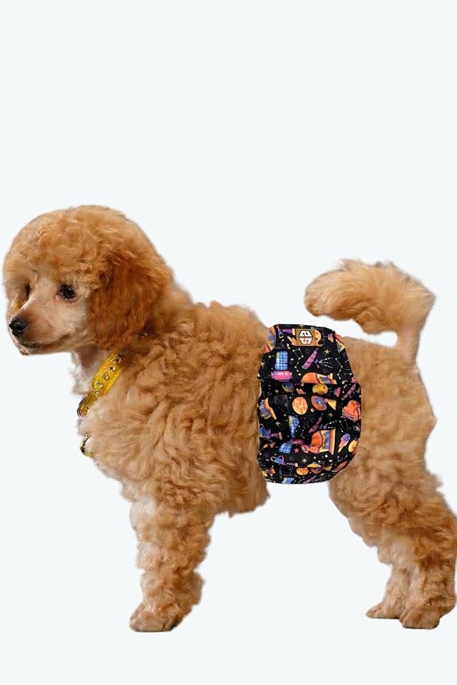 Erkek köpek çiş bezleri, 3'lü Avantajlı paket, 1 paket 3 farklı desen (Space, Small)