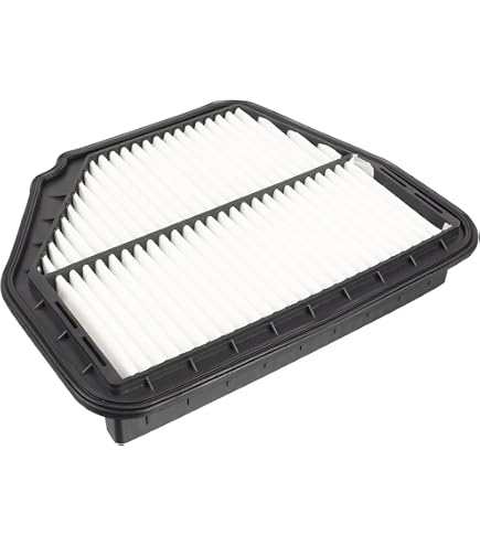 MANN-FILTER C 29 198/1 Filtro Aria Auto - 276x218x68 Mm, Alta Qualità, Sostituzione