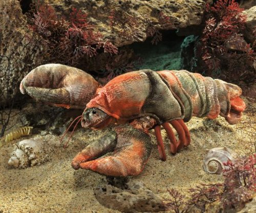 Preisvergleich Produktbild Folkmanis 2890 Hummer