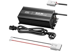 Power Queen LiFePO4 - Cargador de baterías de Litio, LiFePO4 automático, Adecuado para baterías de Litio de 24V (24V20A)