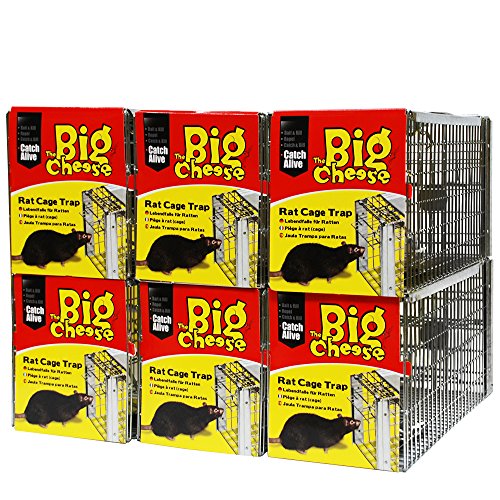 Buy The Big Cheese Rat Cage Trap (Ready to Use Humane Trap for Rodent