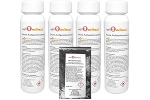 ‎WELL2WELLNESS well2wellness® Saunaaufguss Set 4 x 125 ml 'Wellness' mit Eisfrische, Finnischer Winter, Japanische Heilpflanze, Melisse + gratis 10g Mentholkristalle