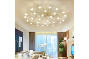 LANEKD Led Salon Plafonnier Star Chambre Lampes de Plafond Ciel étoilé Design Chambre Enfants Lampes Suspendues Verre Abat-jour Pour Cuisine Restaurant Lampes (Chaude Lumière, Chrome 28)