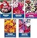 Produktbild Portal Cool 5 Pakete Bettwäsche Seeds - Marigold, Sweet PEA, Verbena, Geranie, Busy Lizzie