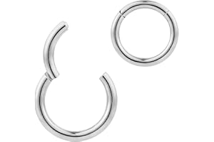 365 Sleepers G23 Titanio Unisex Septum Tragus Helix Segmento con bisagras Nariz Labio Anillo Pendientes de aro Joyería piercing del cuerpo 20G 18G 16G 14G 12G 10G 8G
