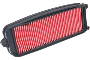 ARTIST UNKNOWN Filtro De Aire para Hyosung GV 125-250Cc Aquila