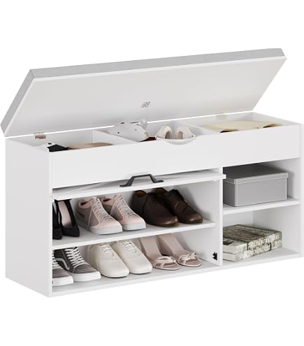 Shoe Rack Storage Bench, Entryway Bench With Cushioned Seat, Shoebox