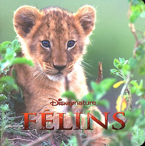 Download Félins, MONDE ENCHANTE